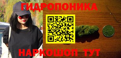 крисы Коммунар
